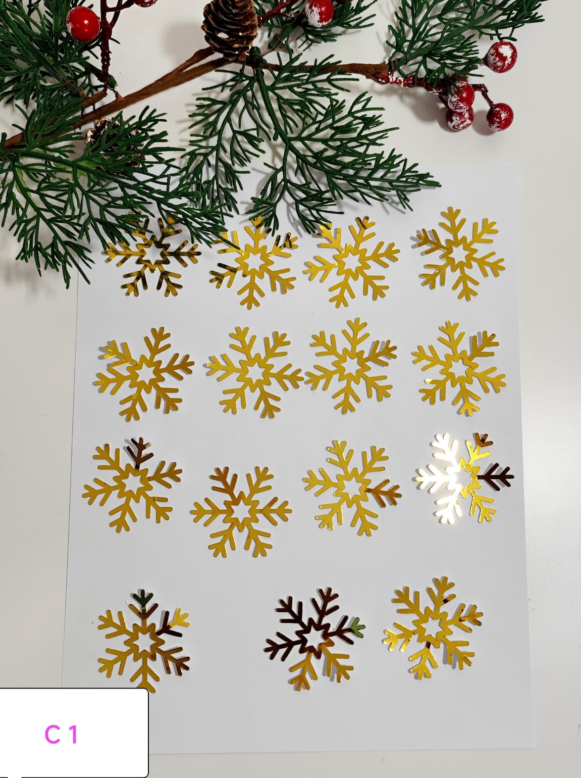 Paquete de 15 pz de copos 1