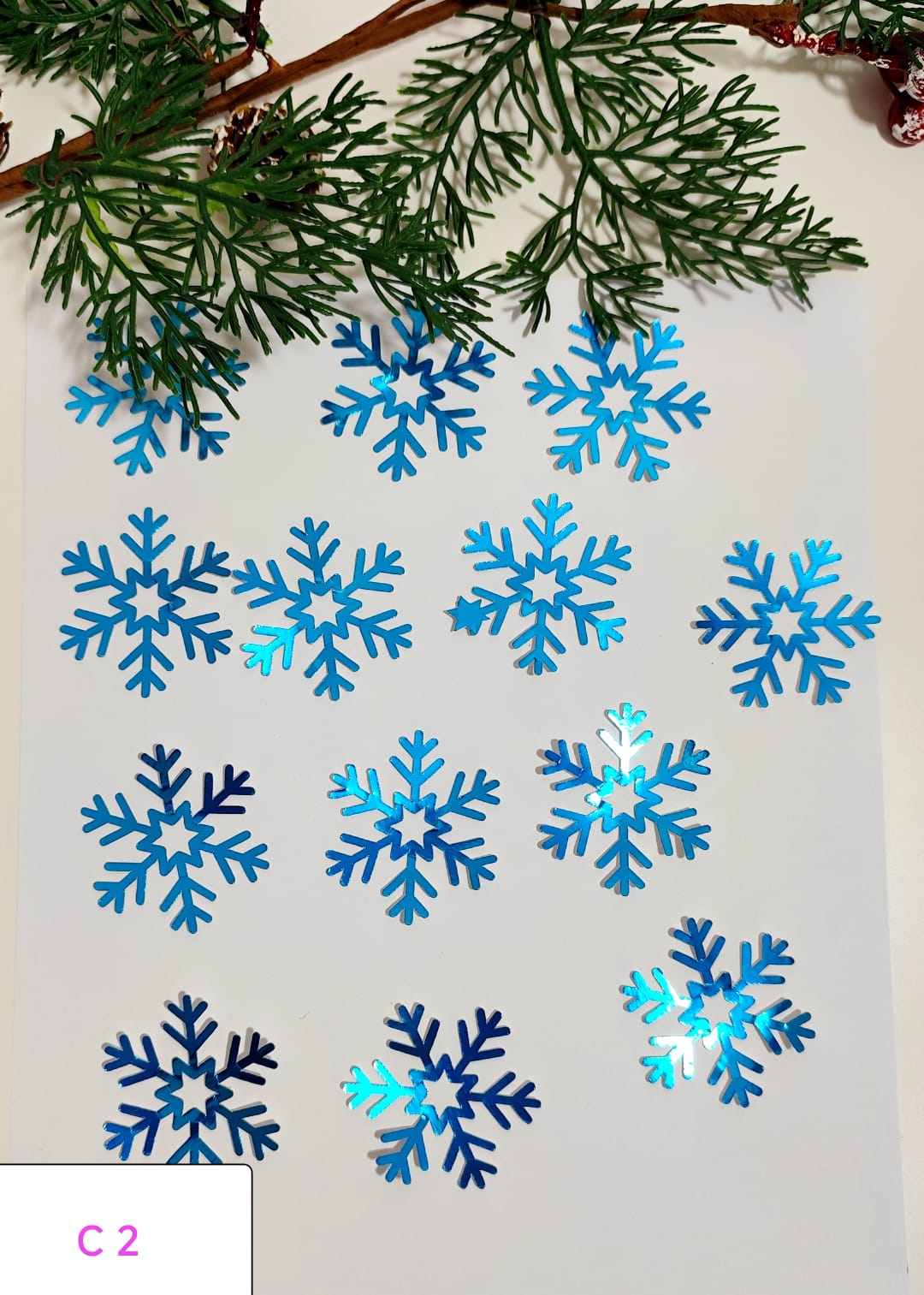 Paquete de 15 pz de copos 2